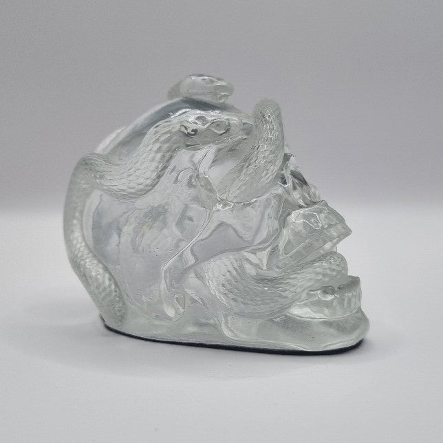 Small Skull Clear Paperweight